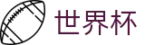 世界杯 · 一站式体育赛事覆盖